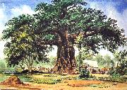 Thomas Baines Baobab Tree Germany oil painting artist